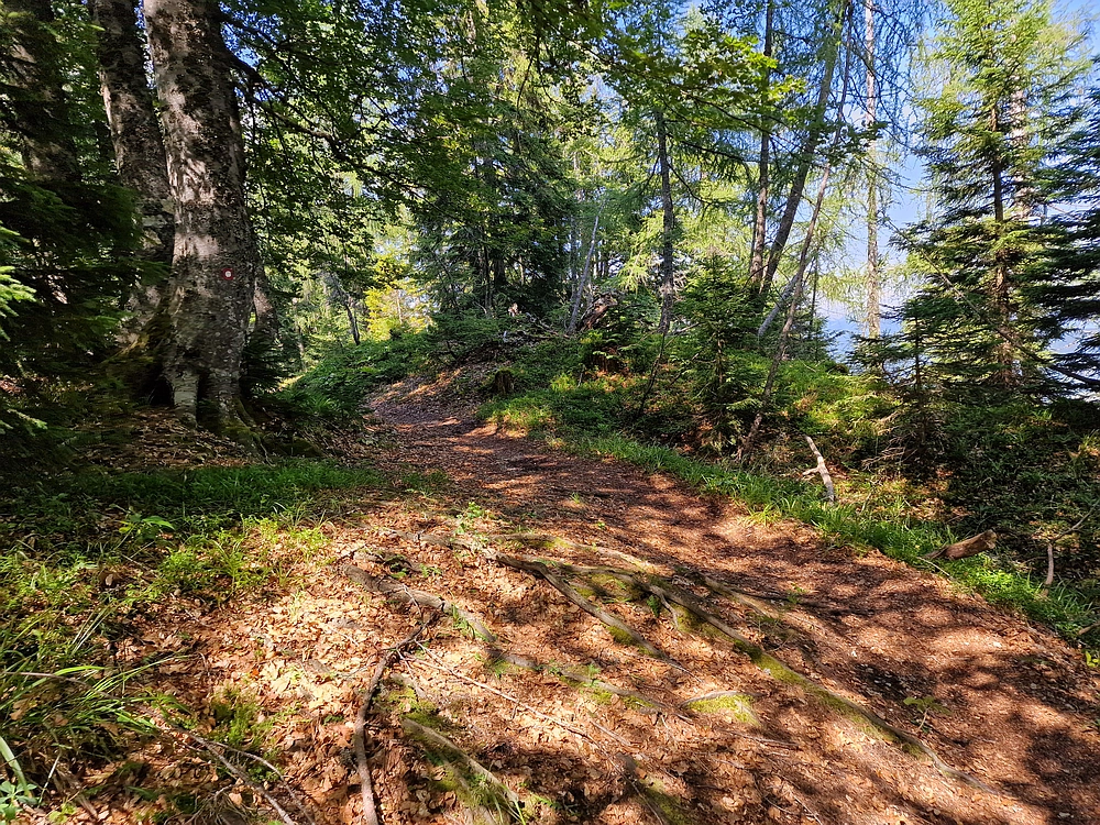 Slika je vidna v Google Chromu.