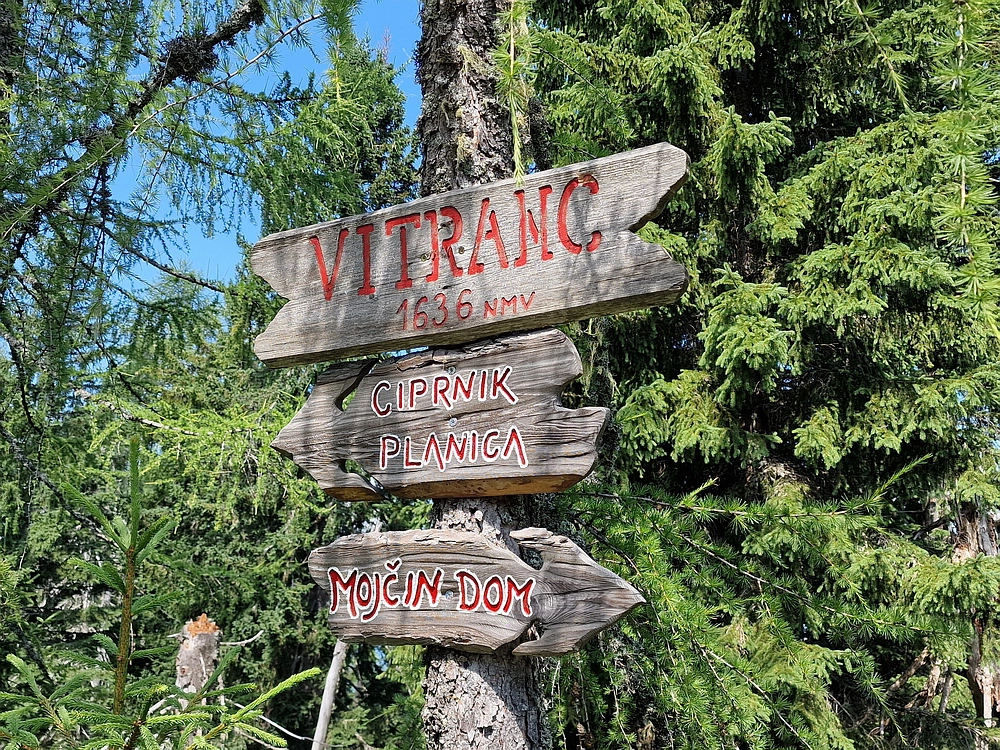 Slika je vidna v Google Chromu.