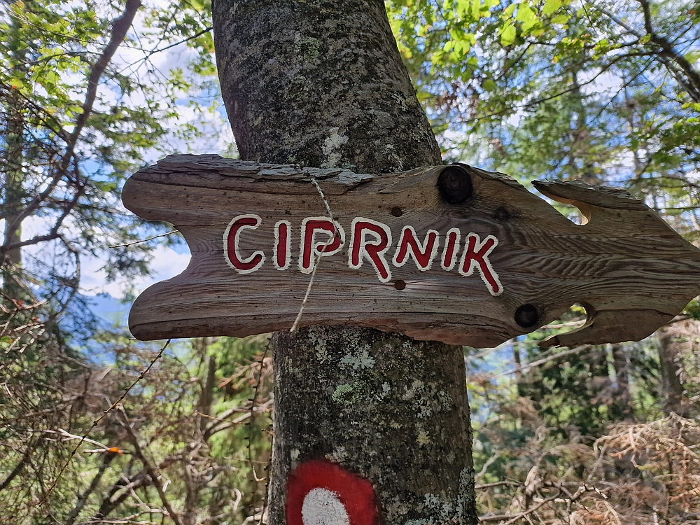 Slika je vidna v Google Chromu.