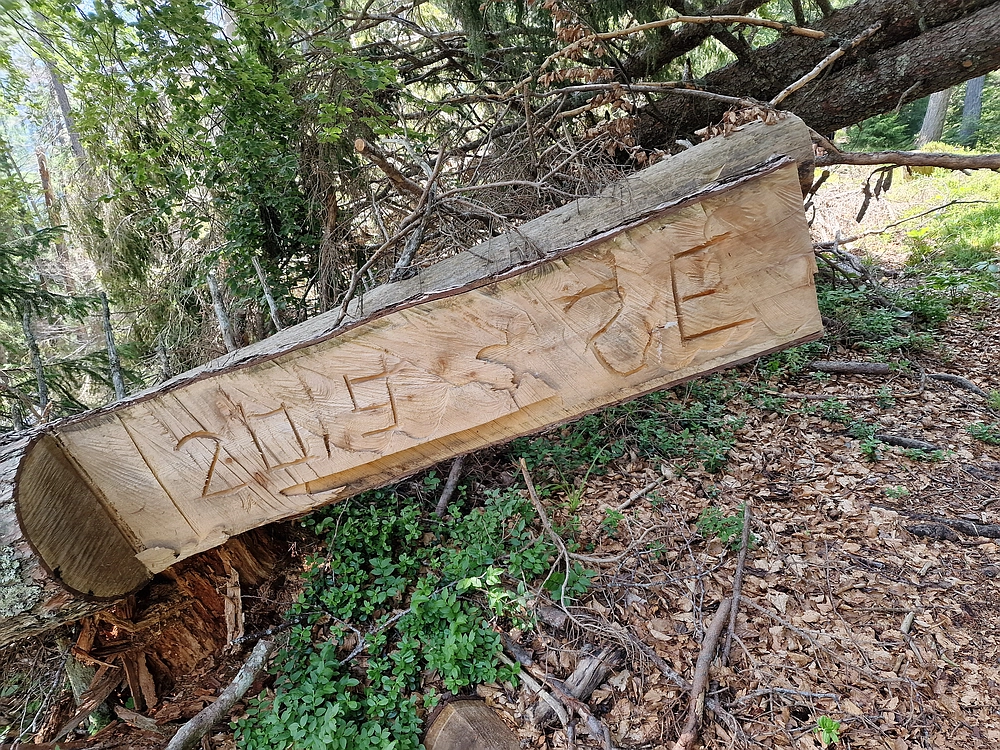 Slika je vidna v Google Chromu.