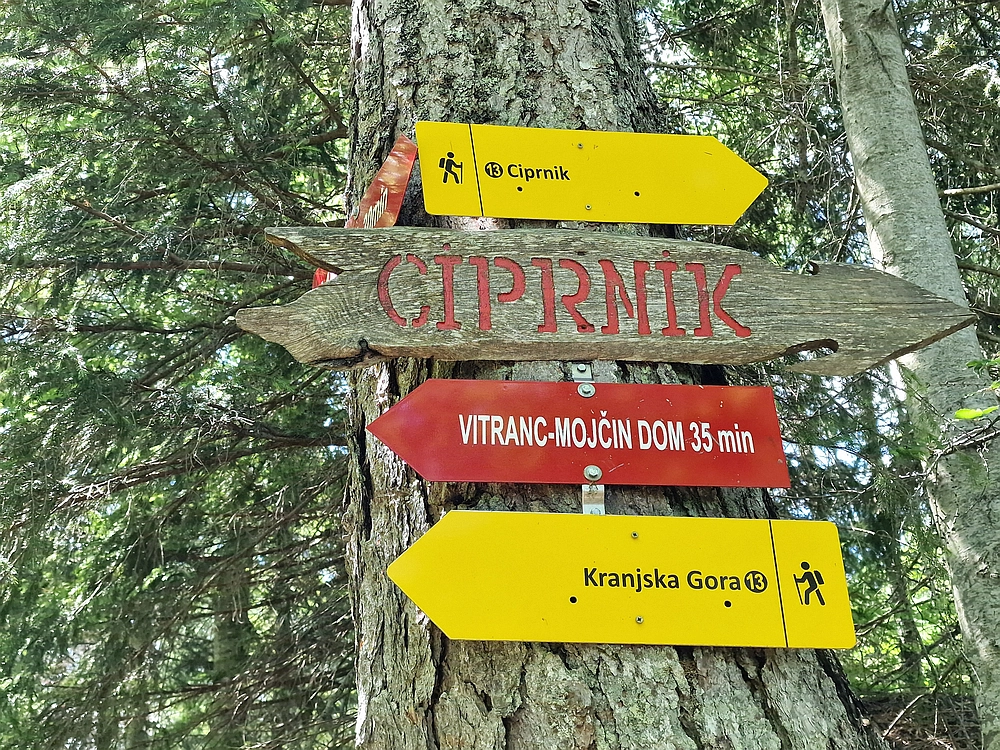 Slika je vidna v Google Chromu.