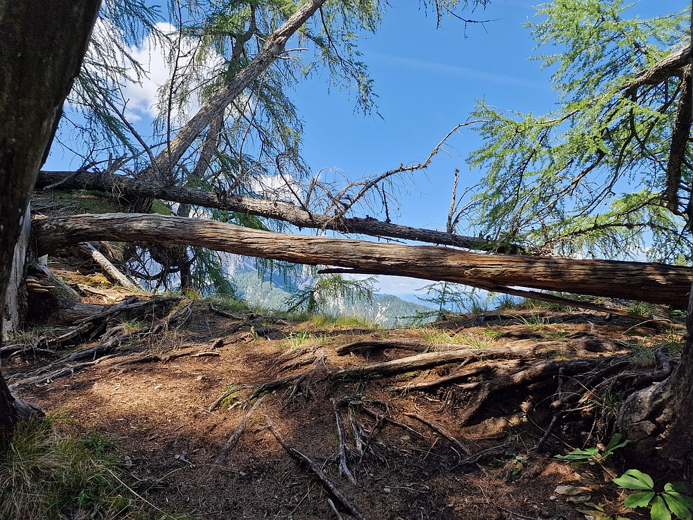 Slika je vidna v Google Chromu.