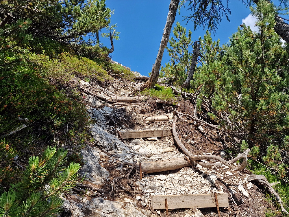 Slika je vidna v Google Chromu.