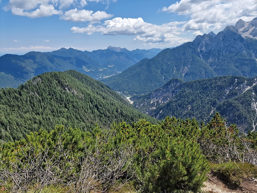 Slika je vidna v Google Chromu.