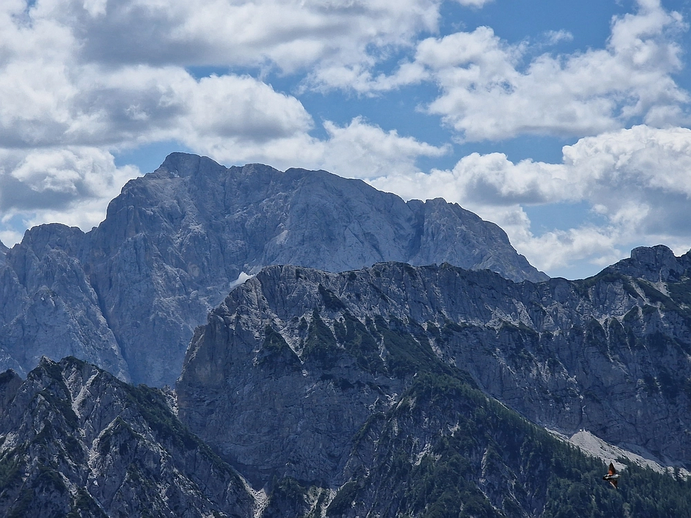 Slika je vidna v Google Chromu.