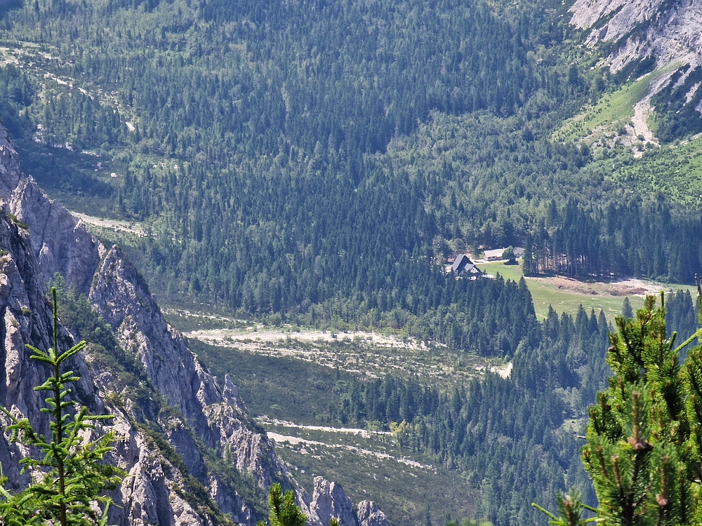 Slika je vidna v Google Chromu.