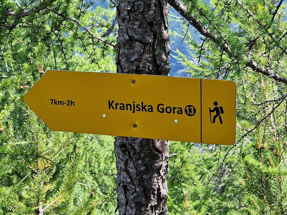 Slika je vidna v Google Chromu.