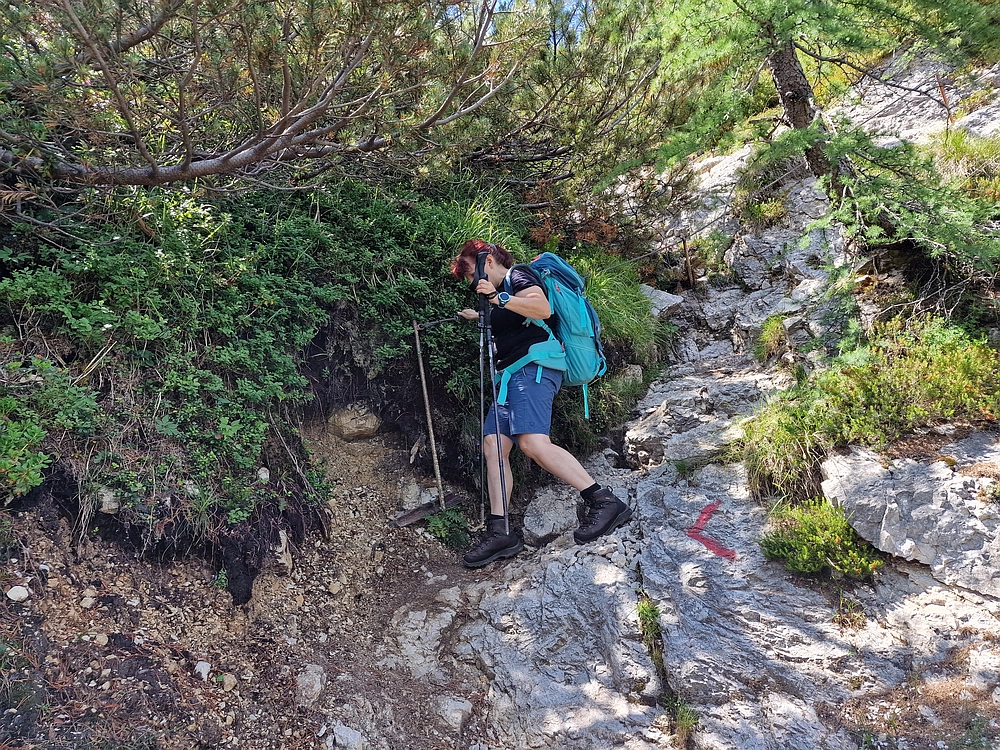 Slika je vidna v Google Chromu.