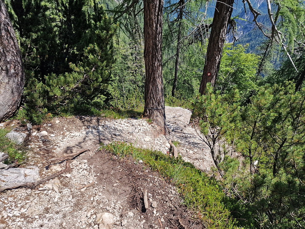 Slika je vidna v Google Chromu.