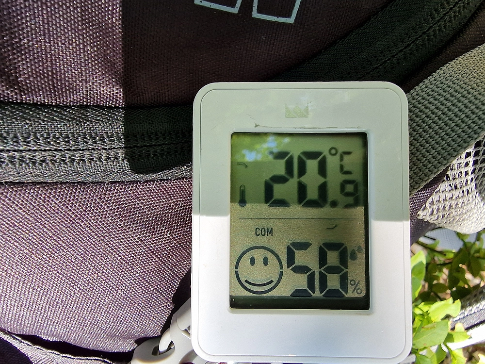 Slika je vidna v Google Chromu.