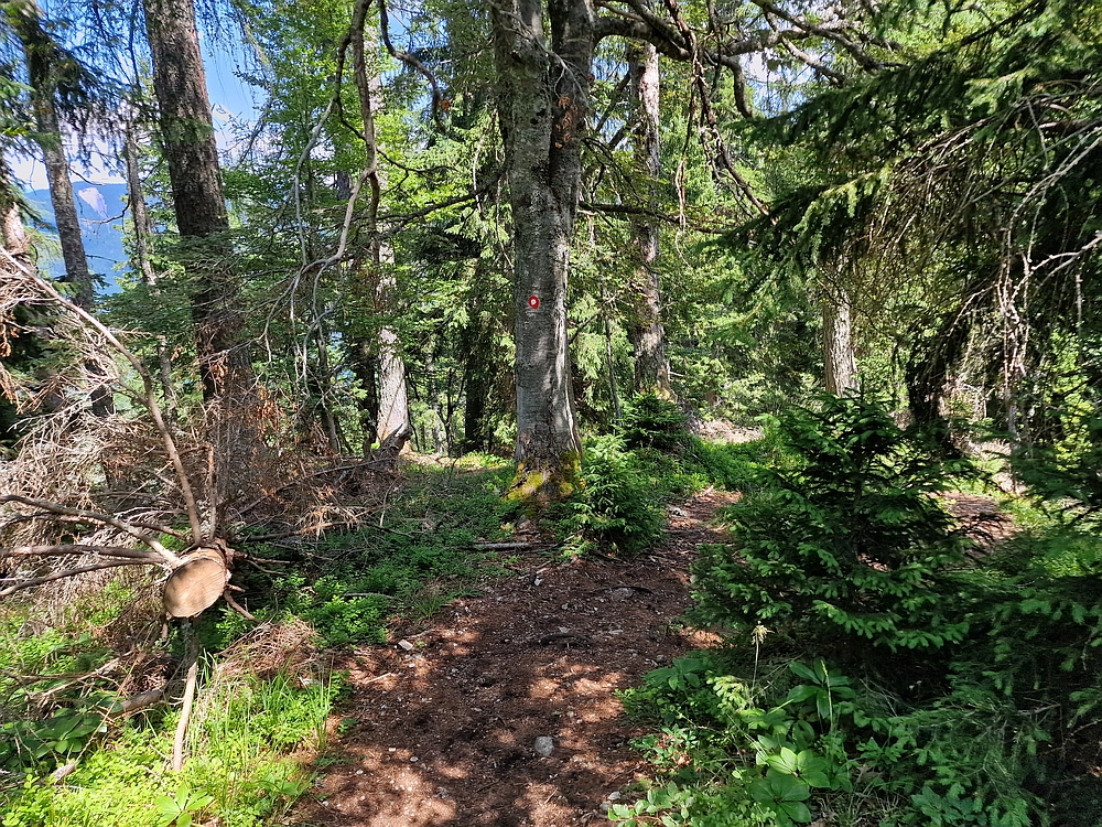 Slika je vidna v Google Chromu.