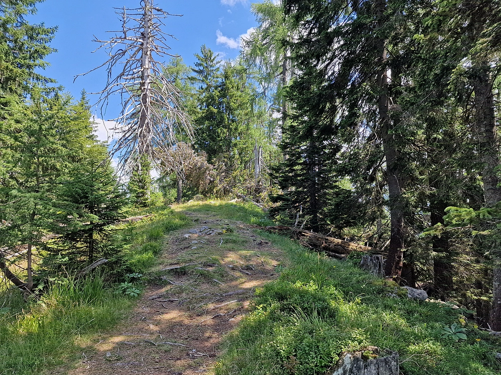 Slika je vidna v Google Chromu.