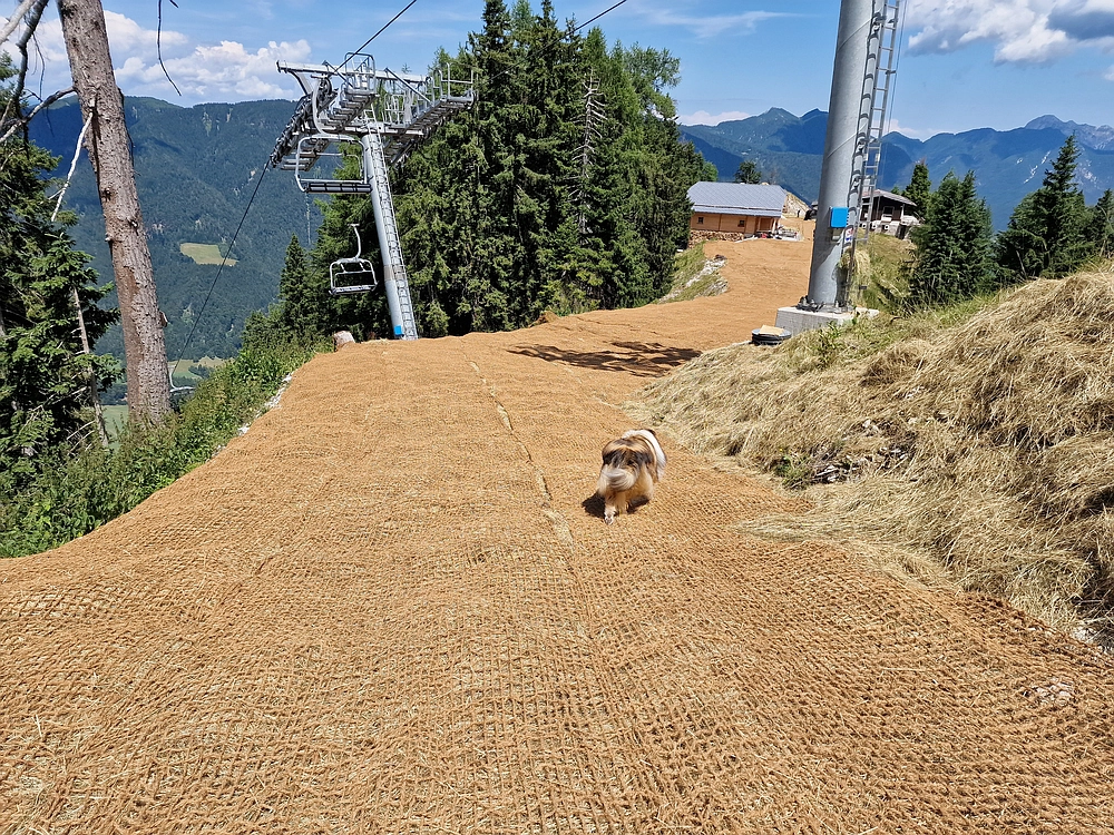 Slika je vidna v Google Chromu.