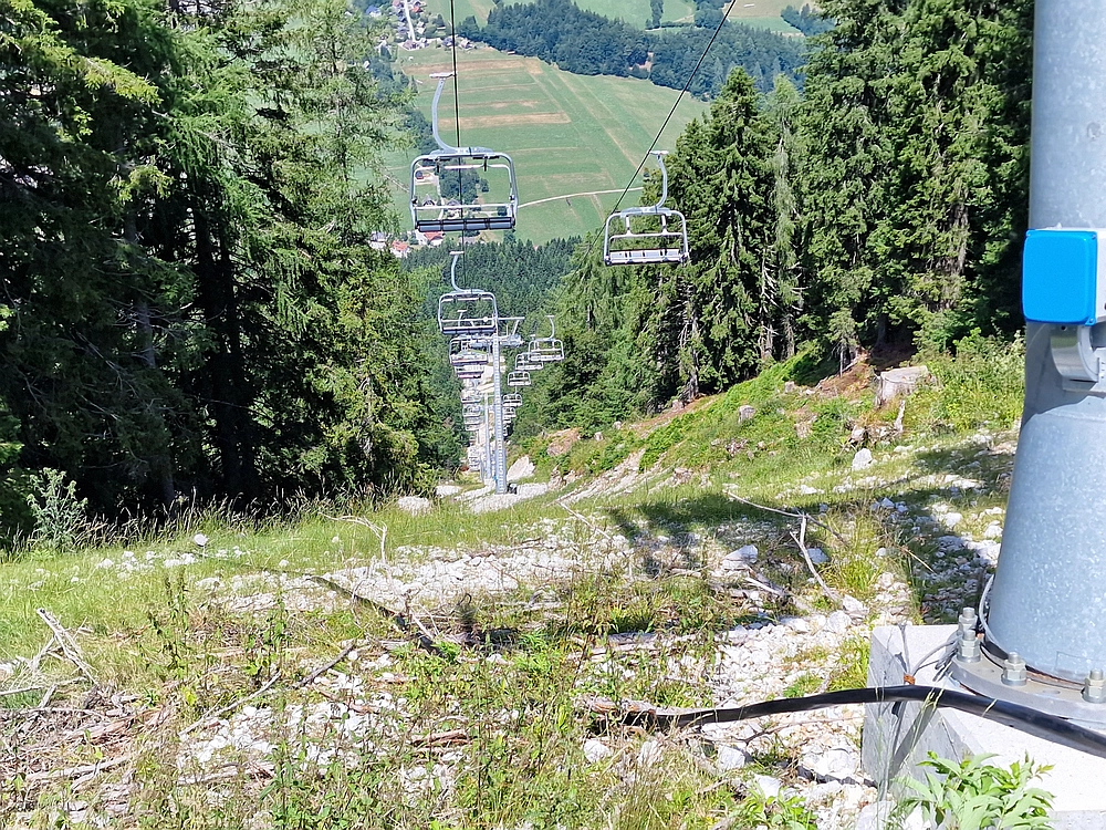 Slika je vidna v Google Chromu.