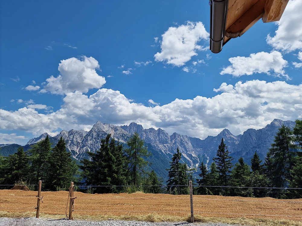 Slika je vidna v Google Chromu.