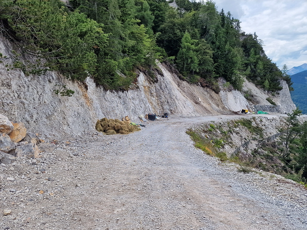 Slika je vidna v Google Chromu.