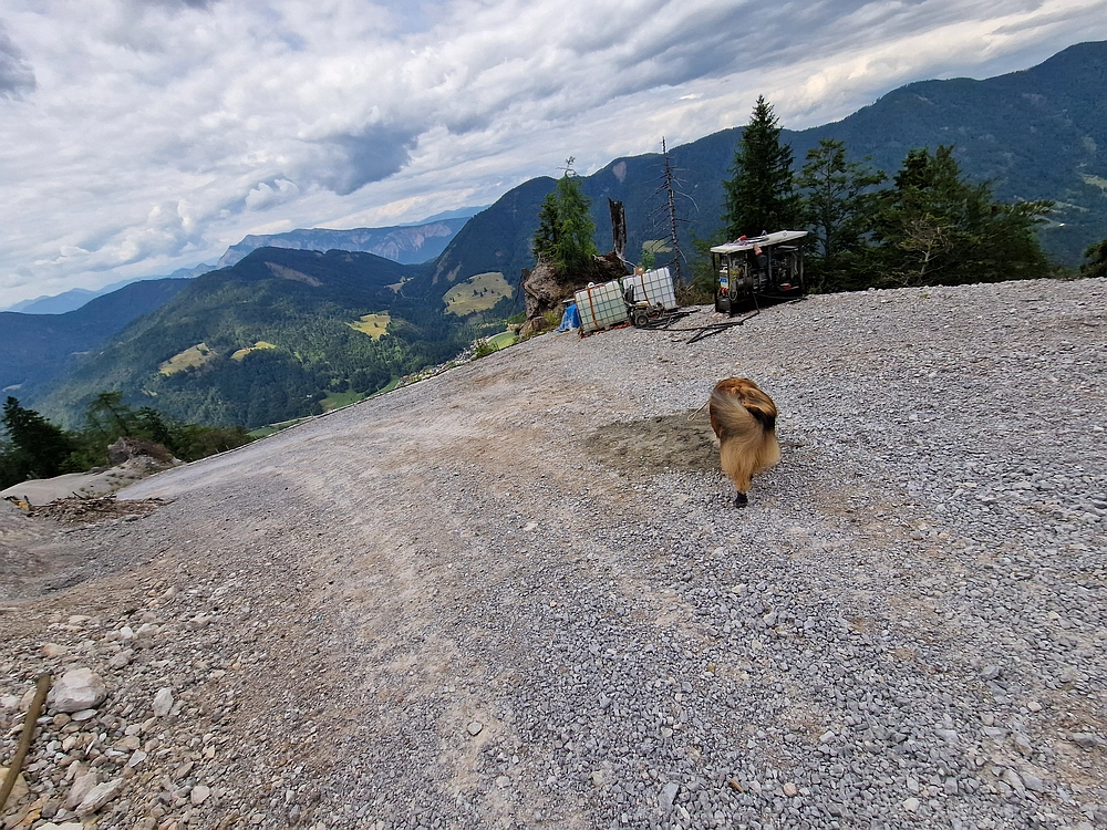 Slika je vidna v Google Chromu.