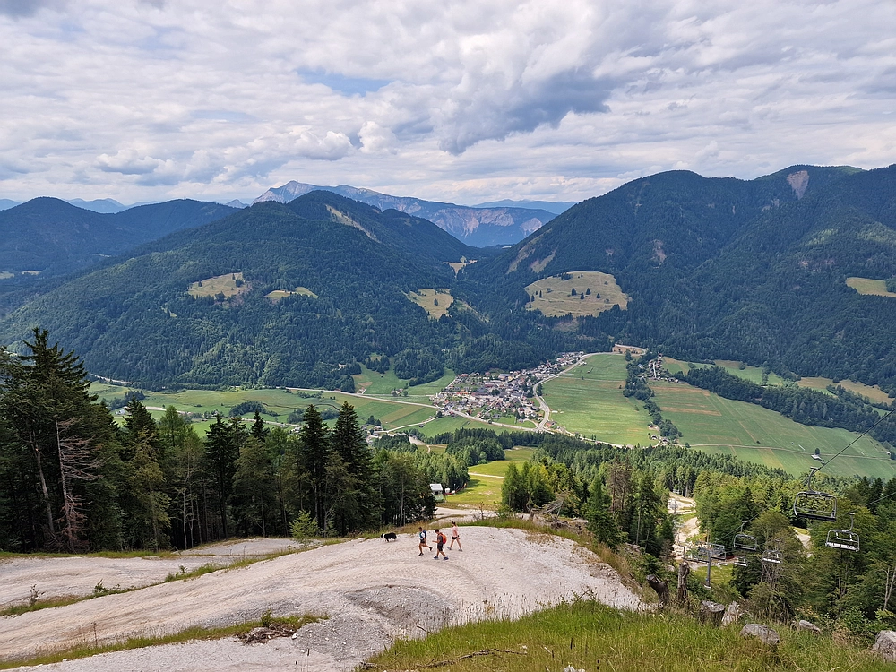 Slika je vidna v Google Chromu.