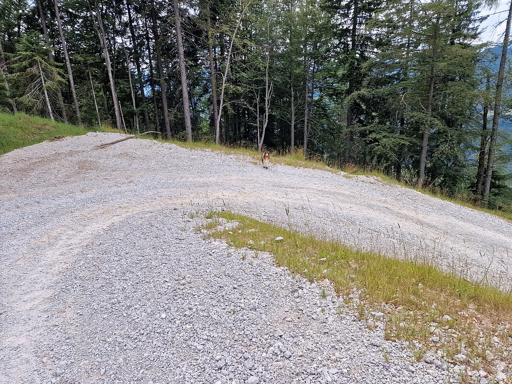 Slika je vidna v Google Chromu.