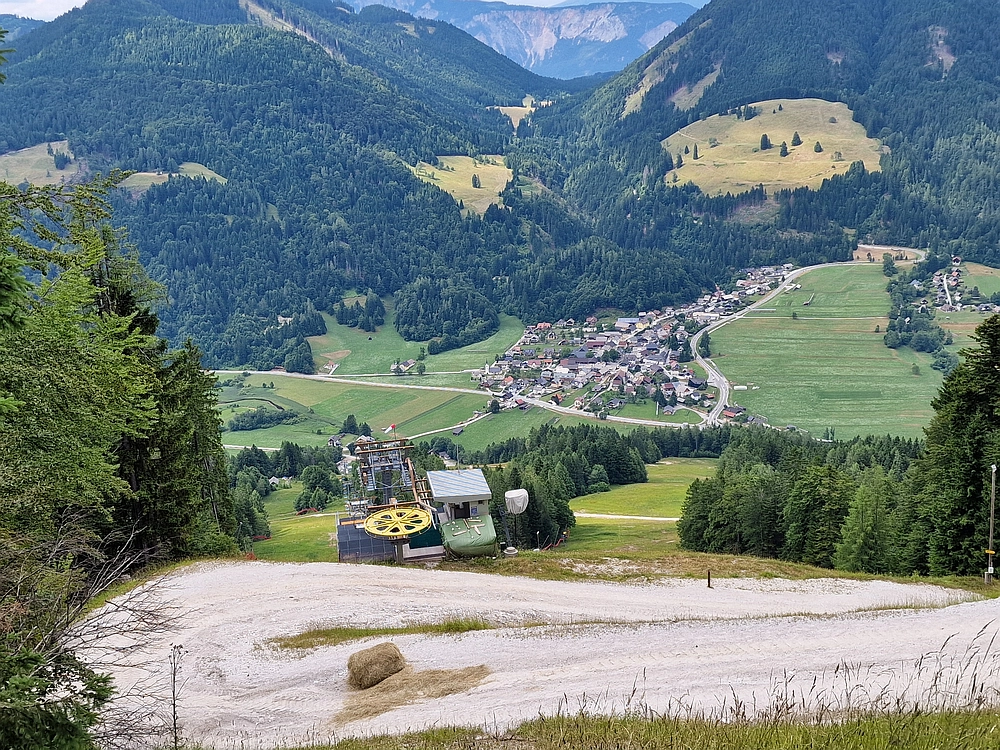 Slika je vidna v Google Chromu.