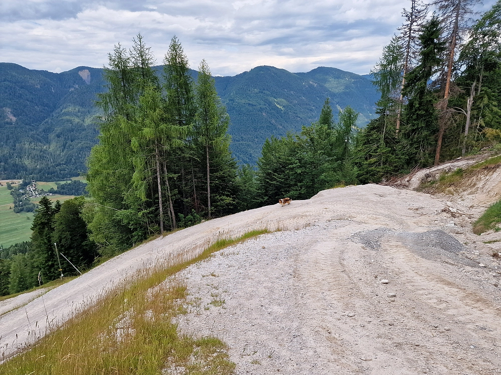 Slika je vidna v Google Chromu.