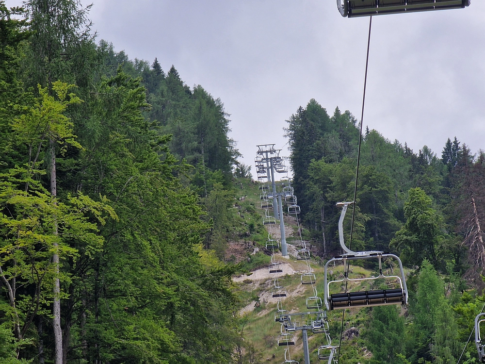 Slika je vidna v Google Chromu.