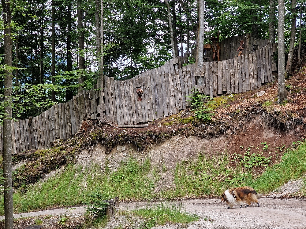 Slika je vidna v Google Chromu.