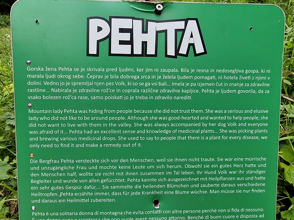 Slika je vidna v Google Chromu.