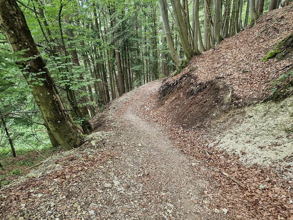 Slika je vidna v Google Chromu.