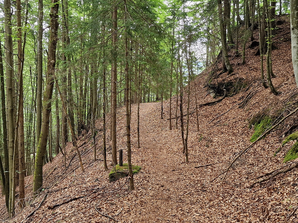 Slika je vidna v Google Chromu.