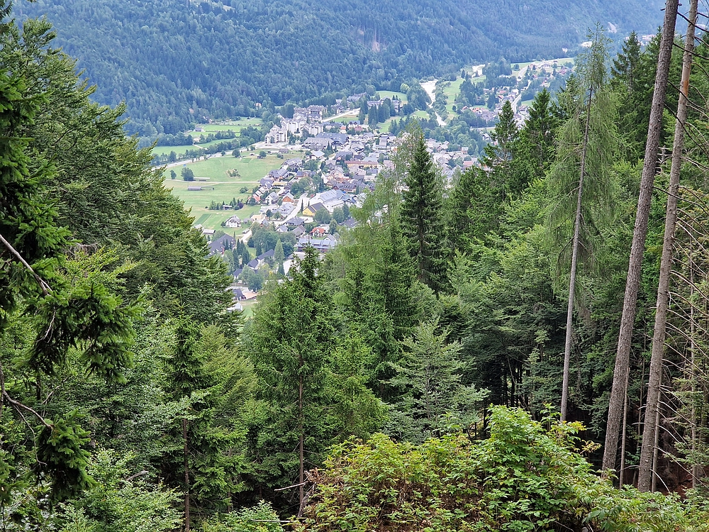 Slika je vidna v Google Chromu.