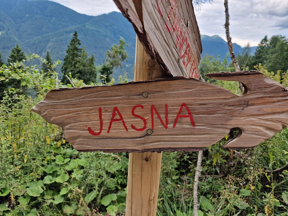 Slika je vidna v Google Chromu.