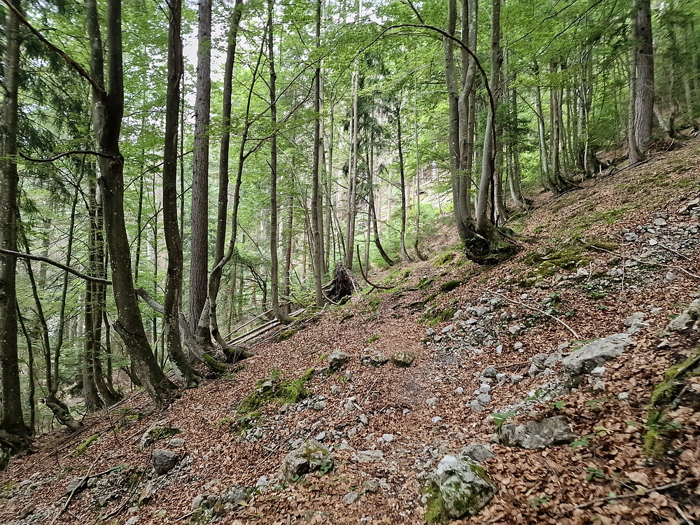 Slika je vidna v Google Chromu.