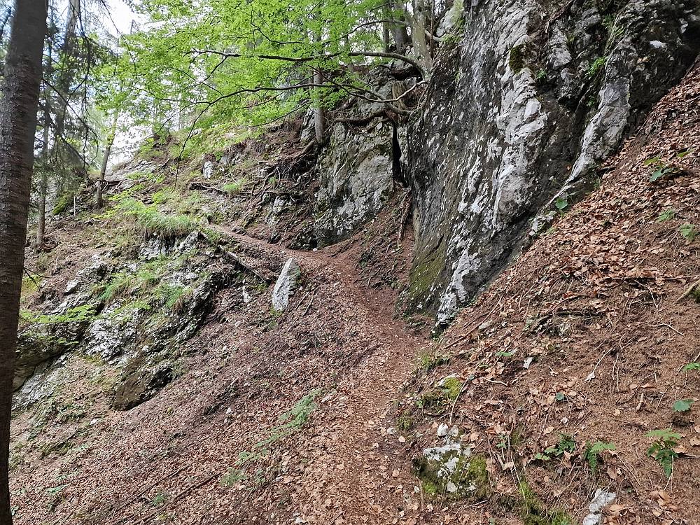 Slika je vidna v Google Chromu.