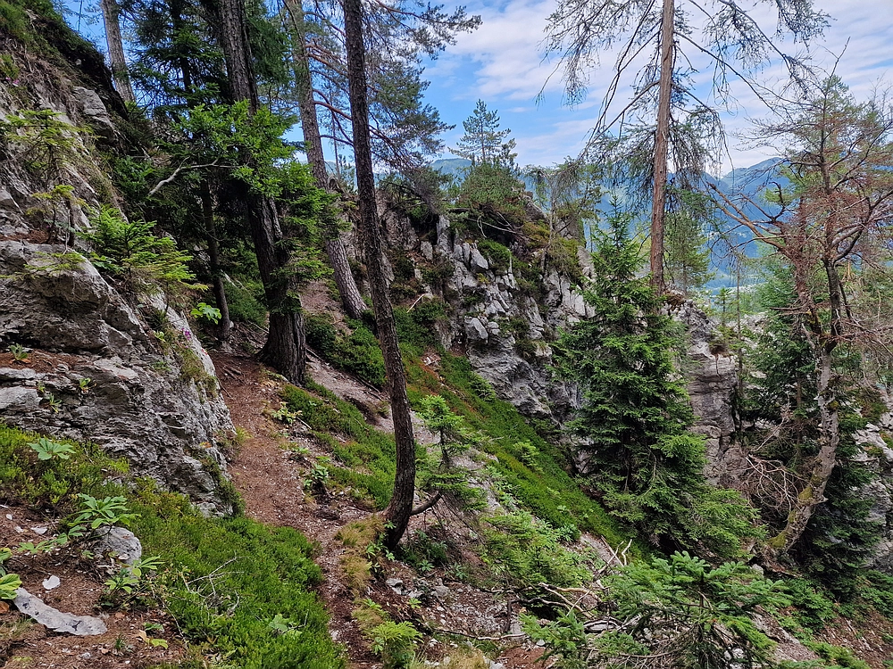 Slika je vidna v Google Chromu.