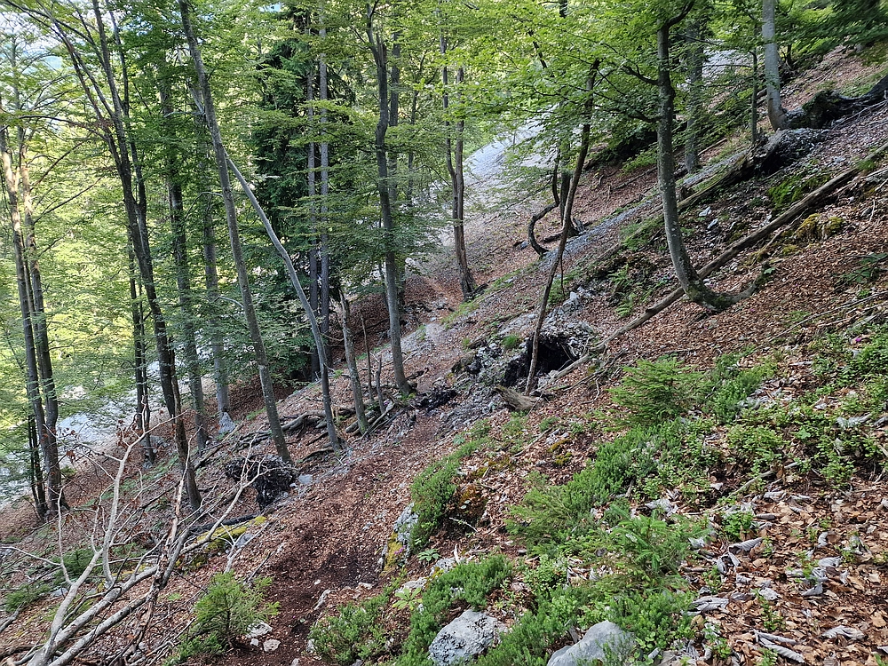 Slika je vidna v Google Chromu.