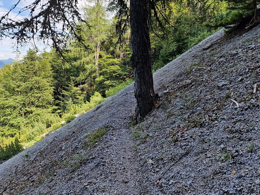 Slika je vidna v Google Chromu.