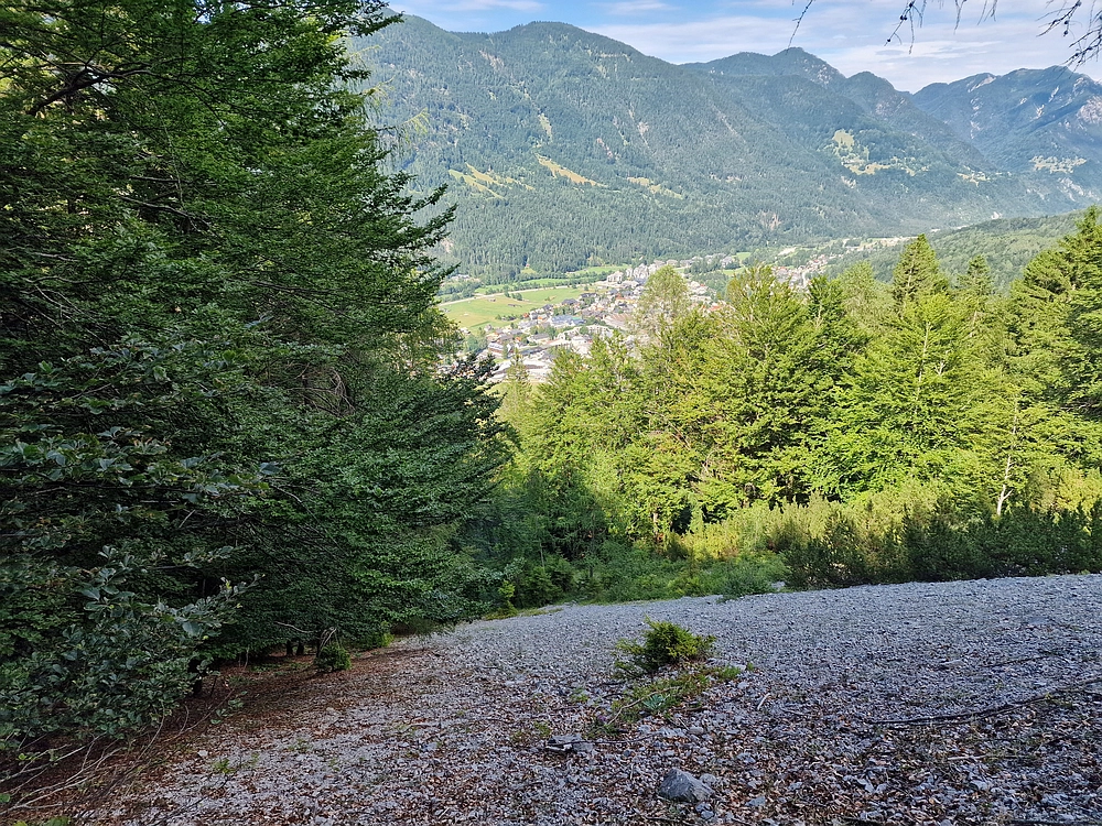 Slika je vidna v Google Chromu.