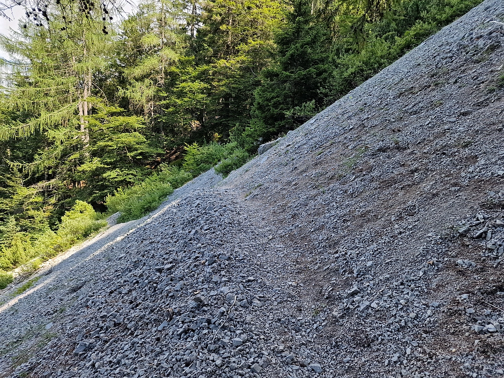 Slika je vidna v Google Chromu.