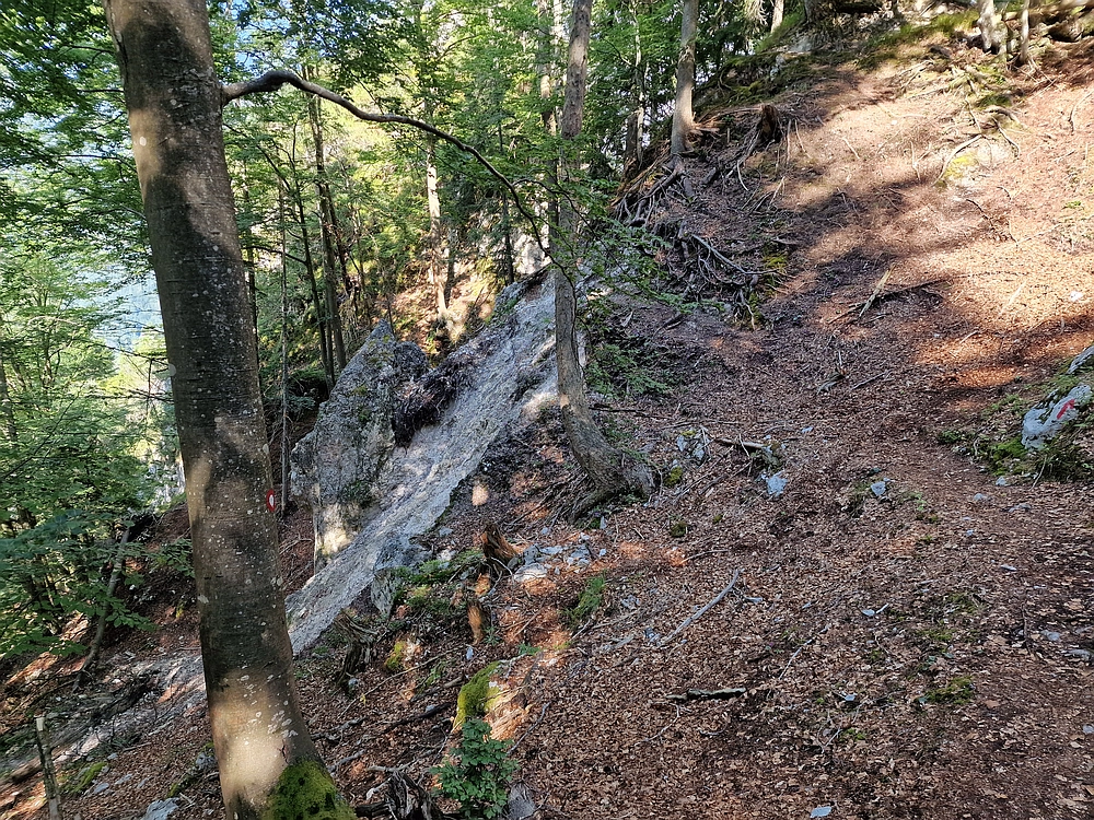 Slika je vidna v Google Chromu.