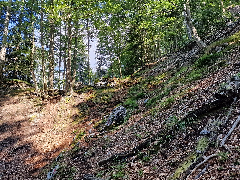 Slika je vidna v Google Chromu.
