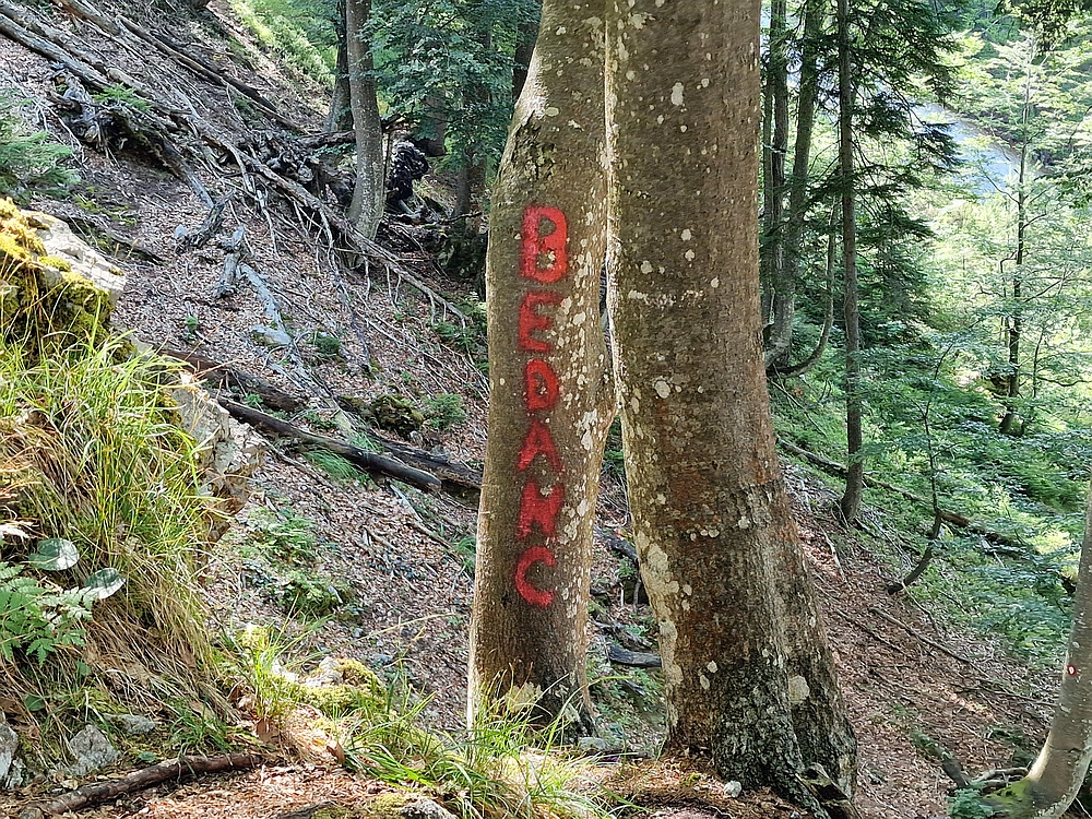 Slika je vidna v Google Chromu.