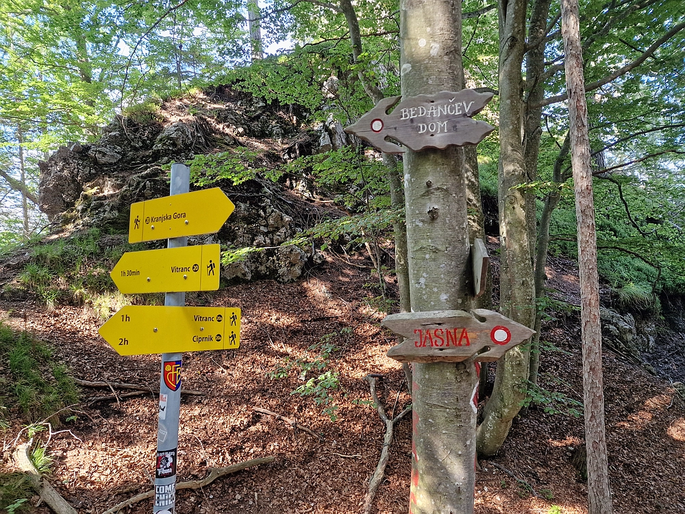 Slika je vidna v Google Chromu.