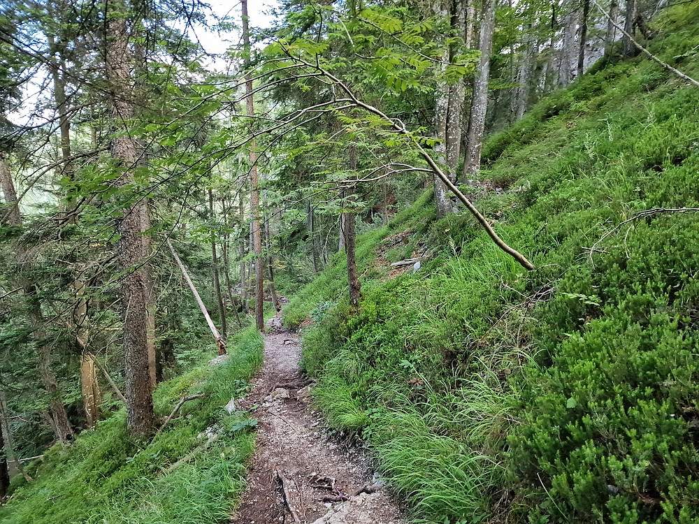 Slika je vidna v Google Chromu.