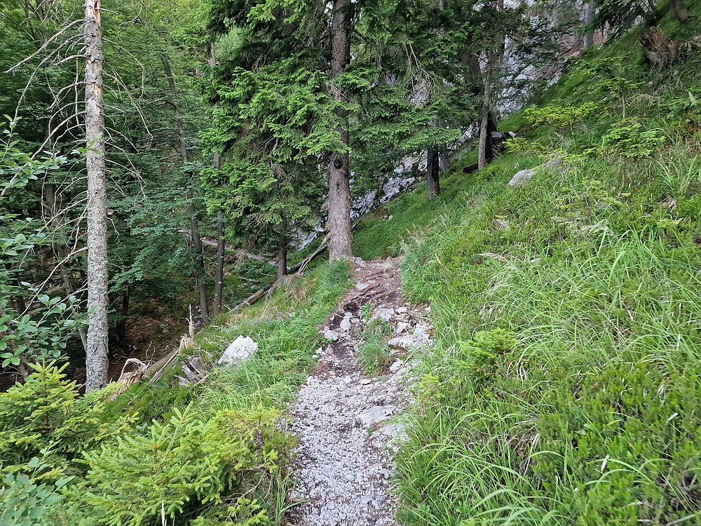 Slika je vidna v Google Chromu.