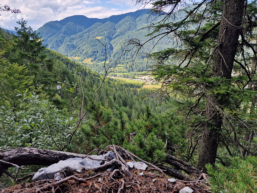 Slika je vidna v Google Chromu.