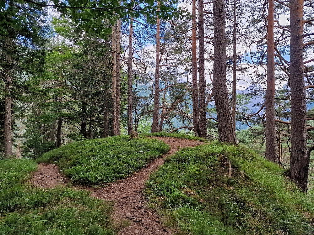 Slika je vidna v Google Chromu.