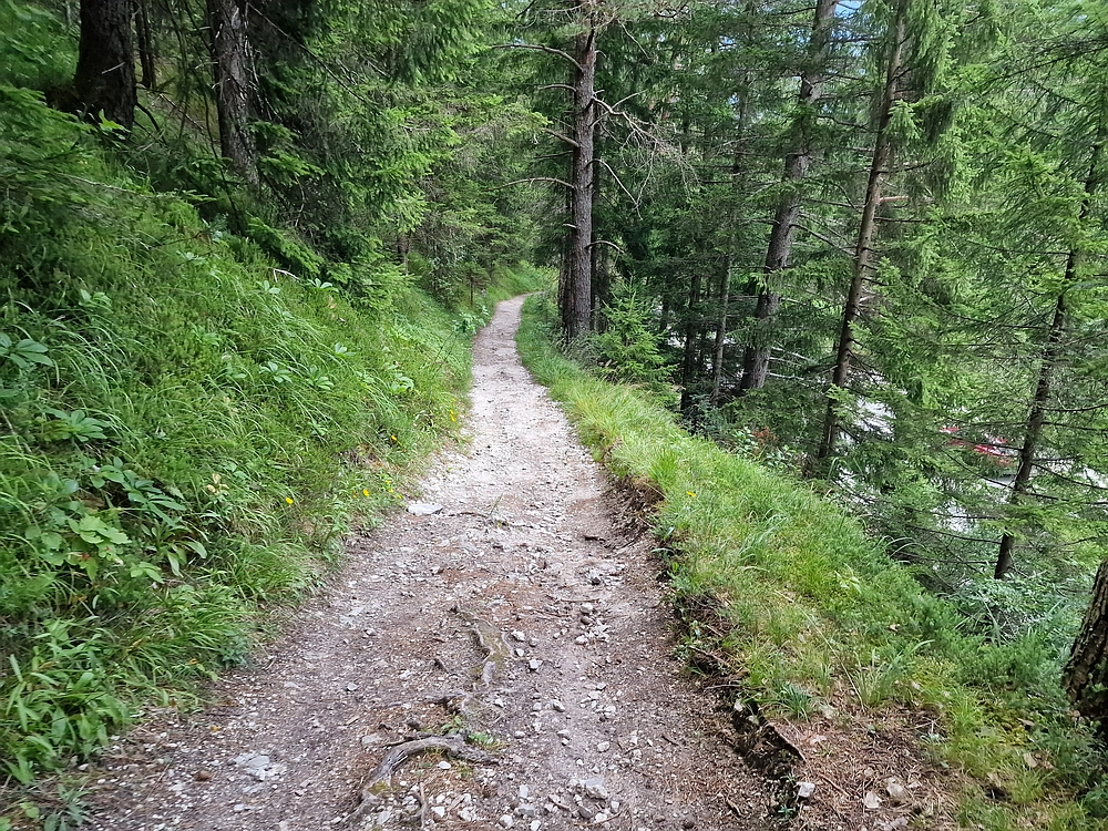 Slika je vidna v Google Chromu.