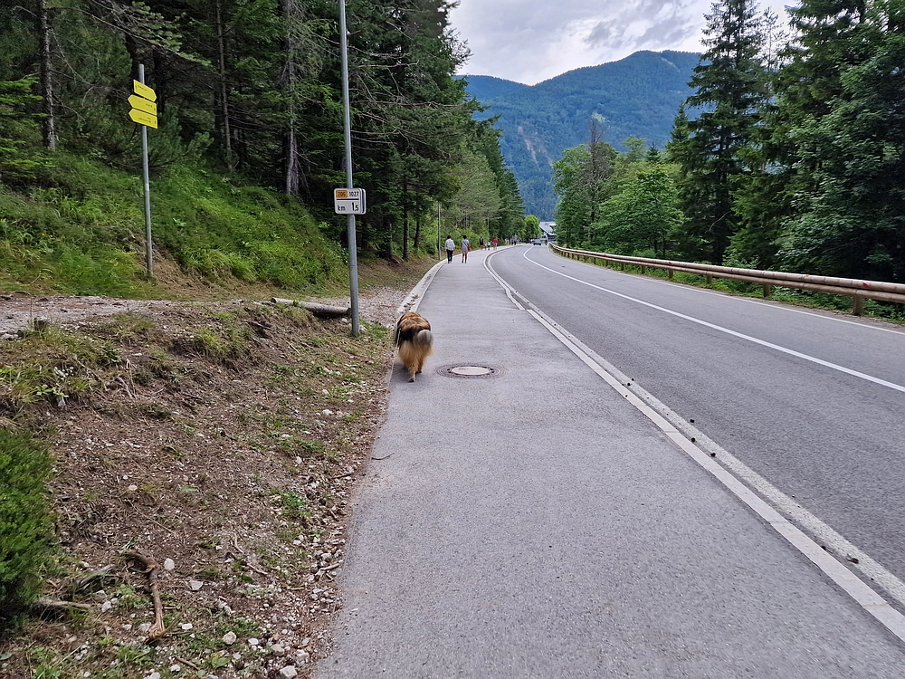 Slika je vidna v Google Chromu.