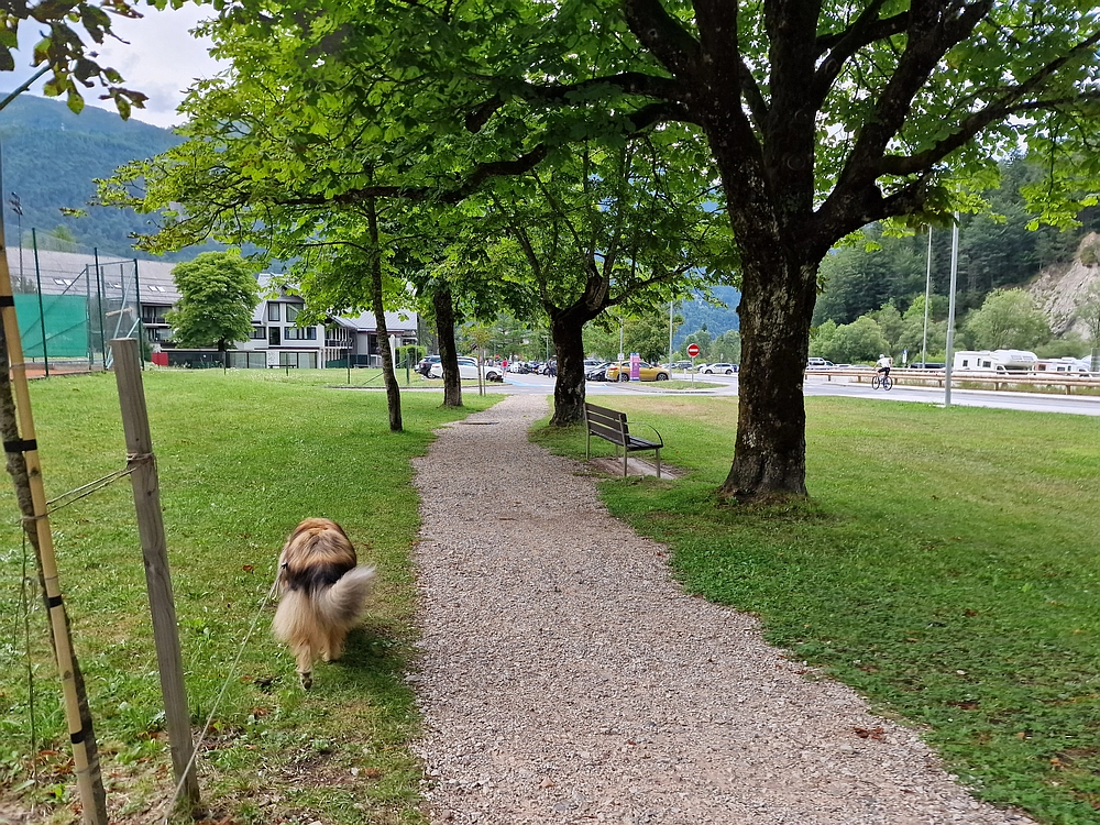 Slika je vidna v Google Chromu.